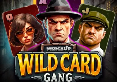 Wild Card Gang game cover